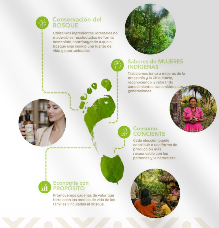 Infografía de LANURE sobre conservación del bosque, saberes de mujeres indígenas, consumo consciente y economía con propósito.